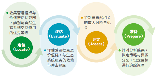 生物多样性风险评估流程